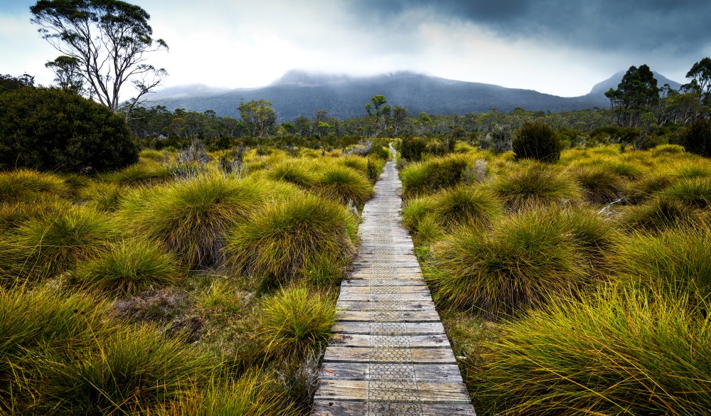 Overland Track, great hikes in Australia destination