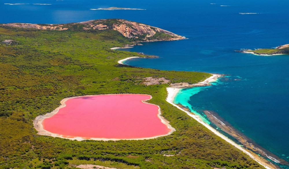 Pink lake, places to visit in western australia