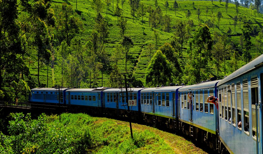 tea plantation train in haputale, scenic train ride