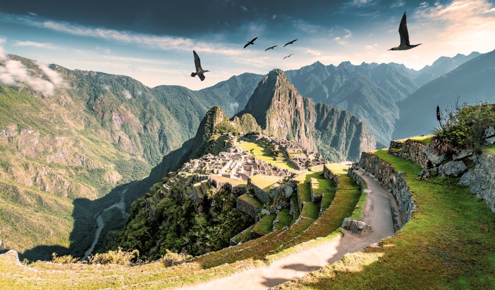 Machu Picchu