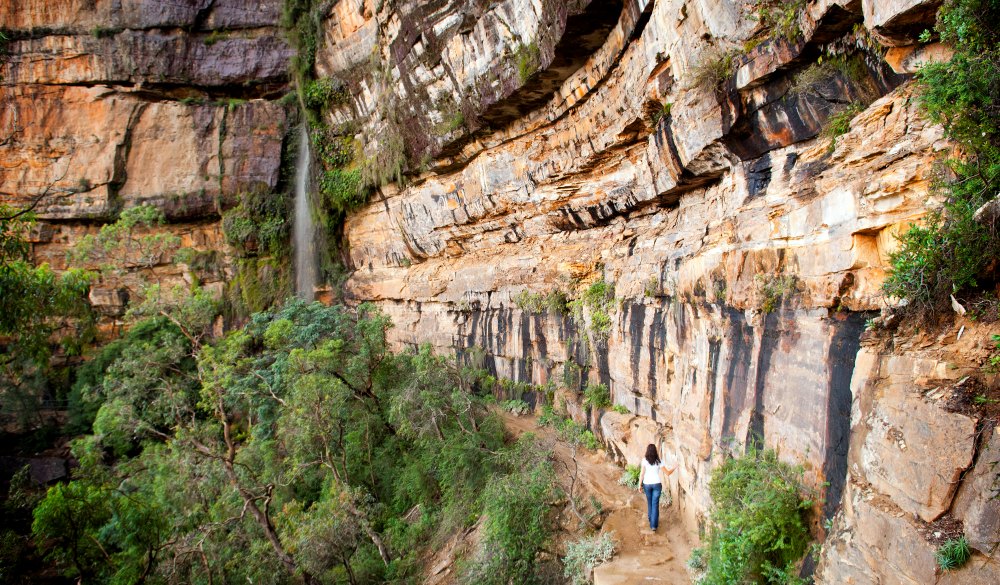 Blue Mountains, Australia