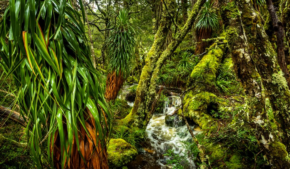 Waterfall at Overland track, Tasmania, great hikes in Asutralai destination