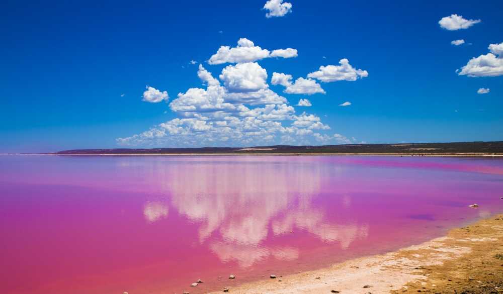 Pink Lake