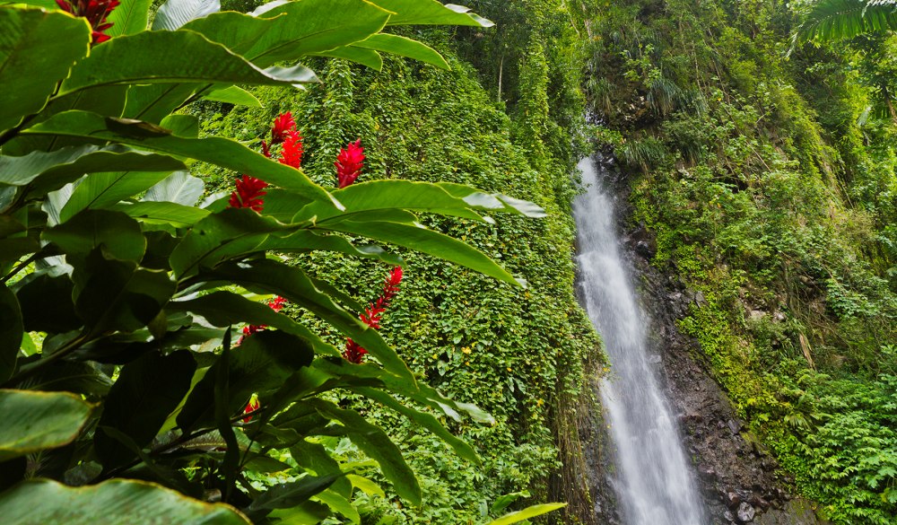 Dark View Falls, St Vincent