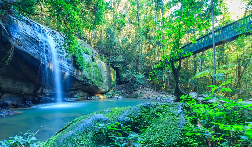 Tranquil Waterfall on the Sunshine Coast, Australia, romantic destinations in Australia