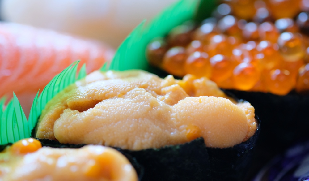 Close up of Sushi, Uni(sea urchin)
