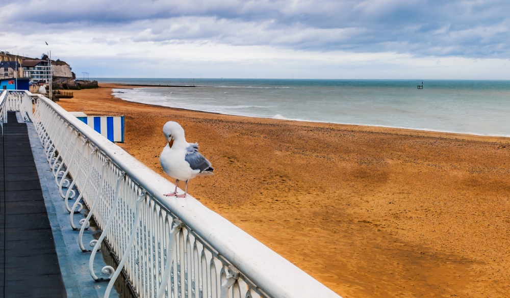 Brighton, East Sussex