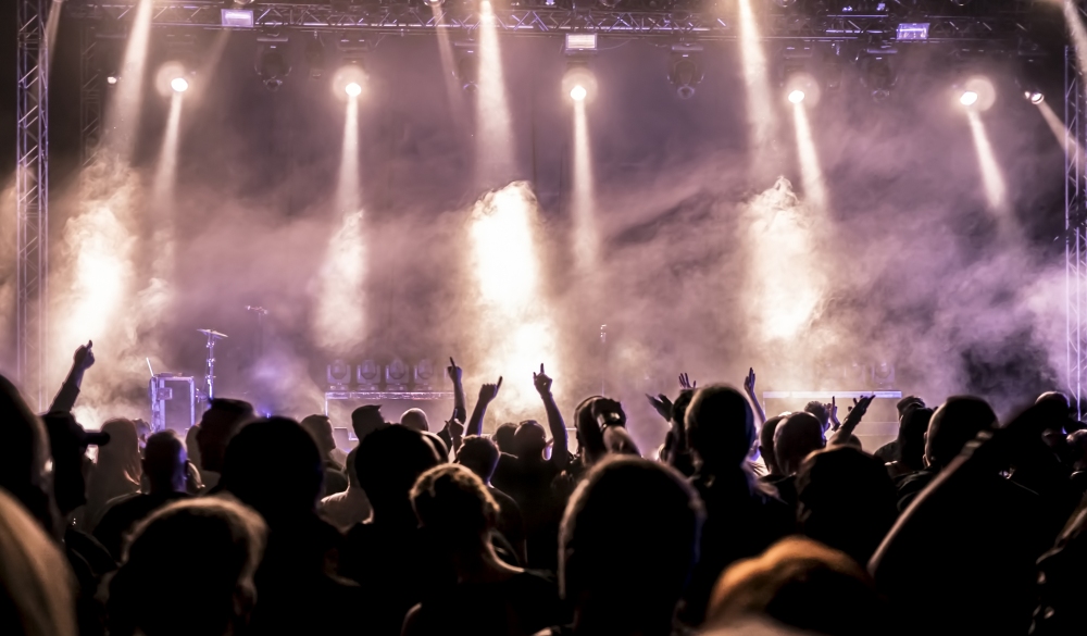 cheering crowd at rock concert