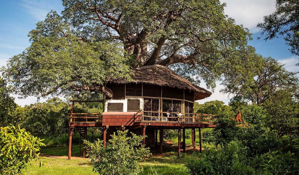 Elewana Tarangire Treetops