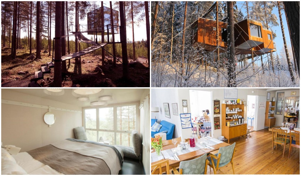 Treehotel – Sweden, treehouse hotel