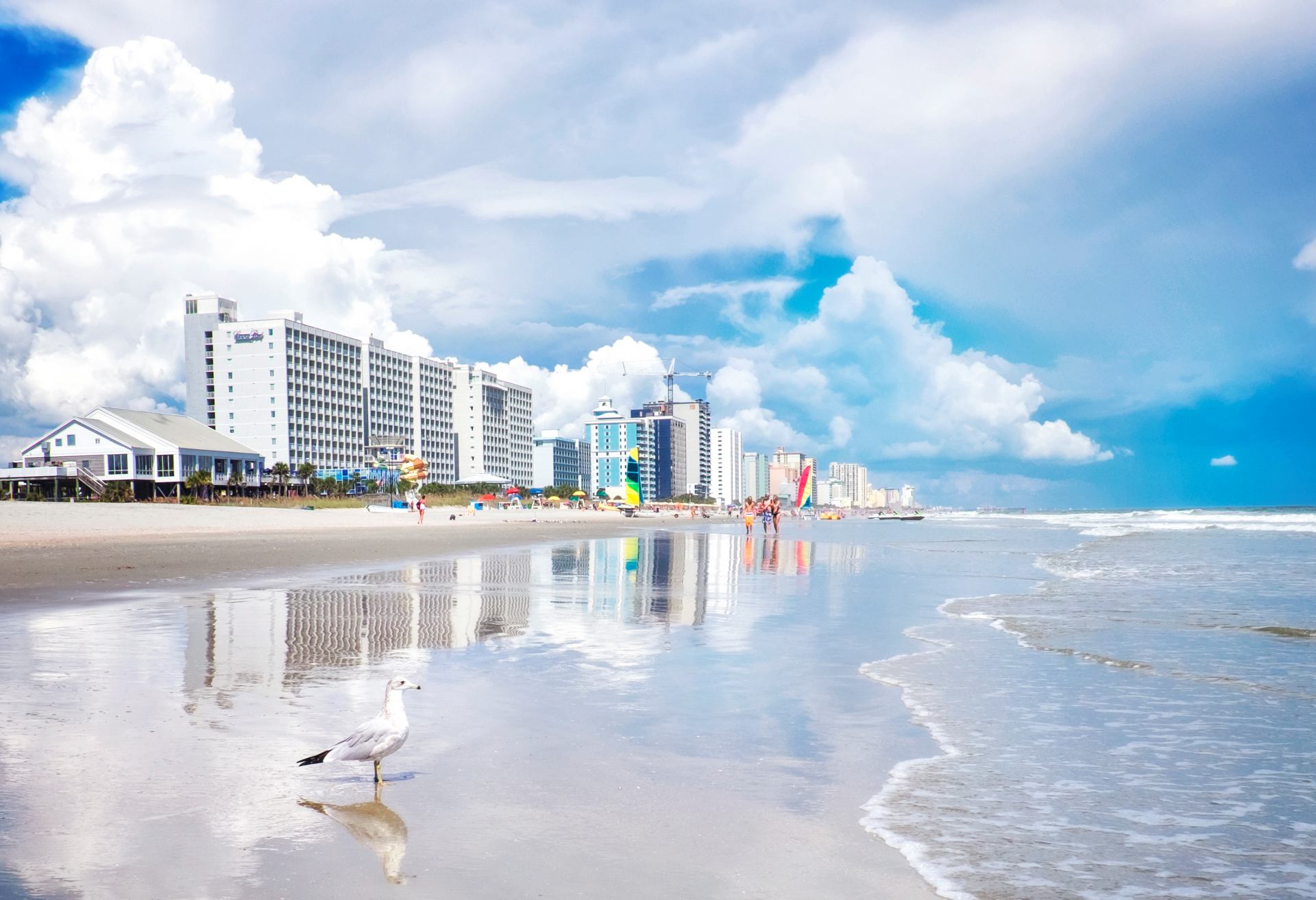 Seagull In front of Myrtle Beach