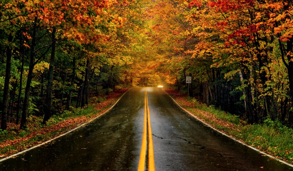 Fall Foliage in Vermont