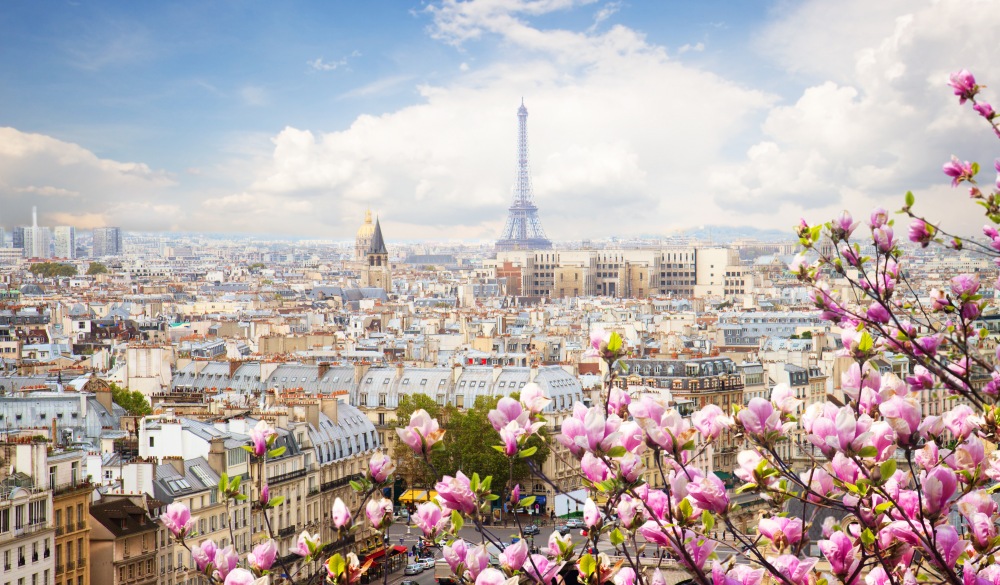 Paris city roofs with Eiffel Tower