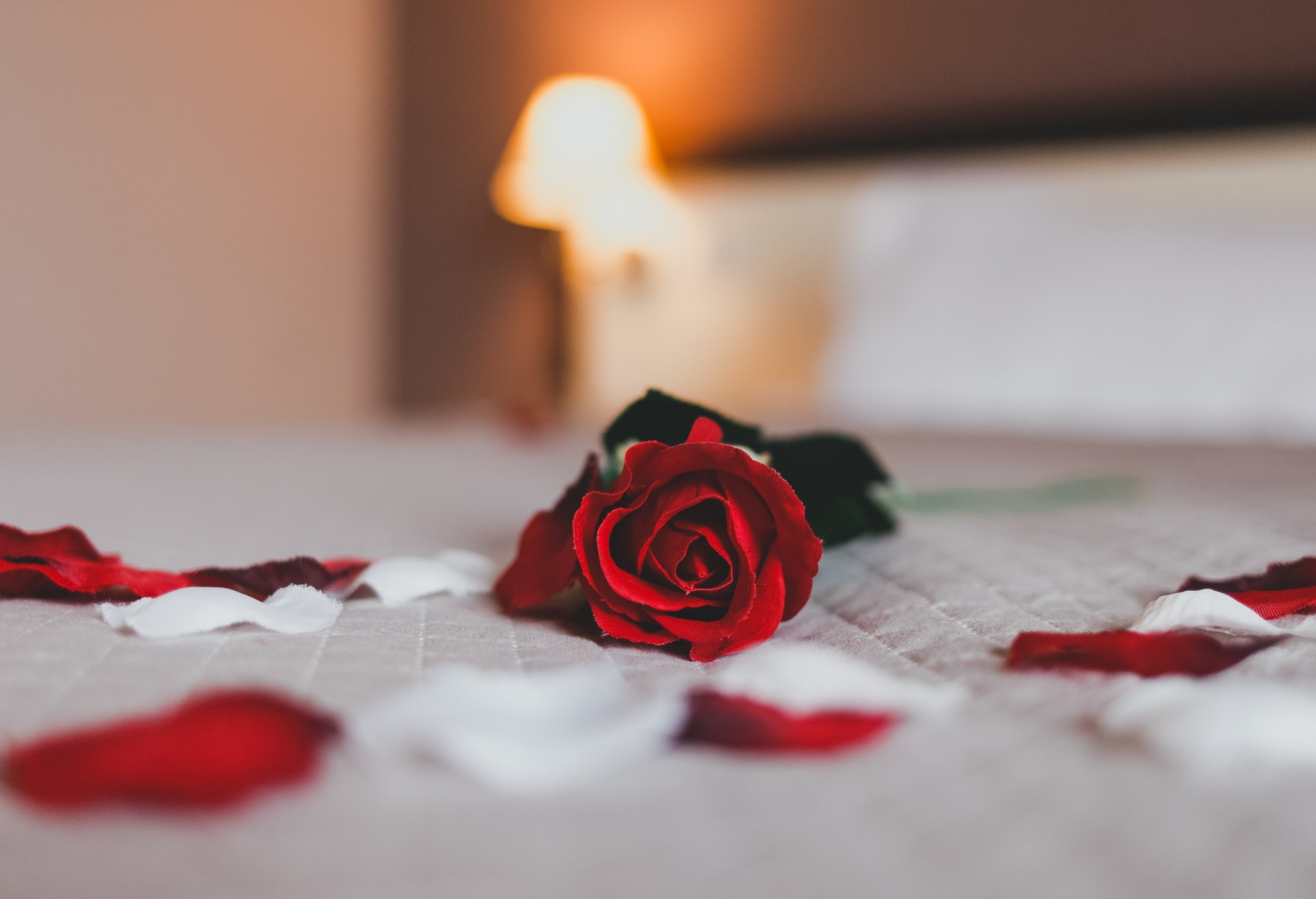 Rose on the bed in the hotel rooms.