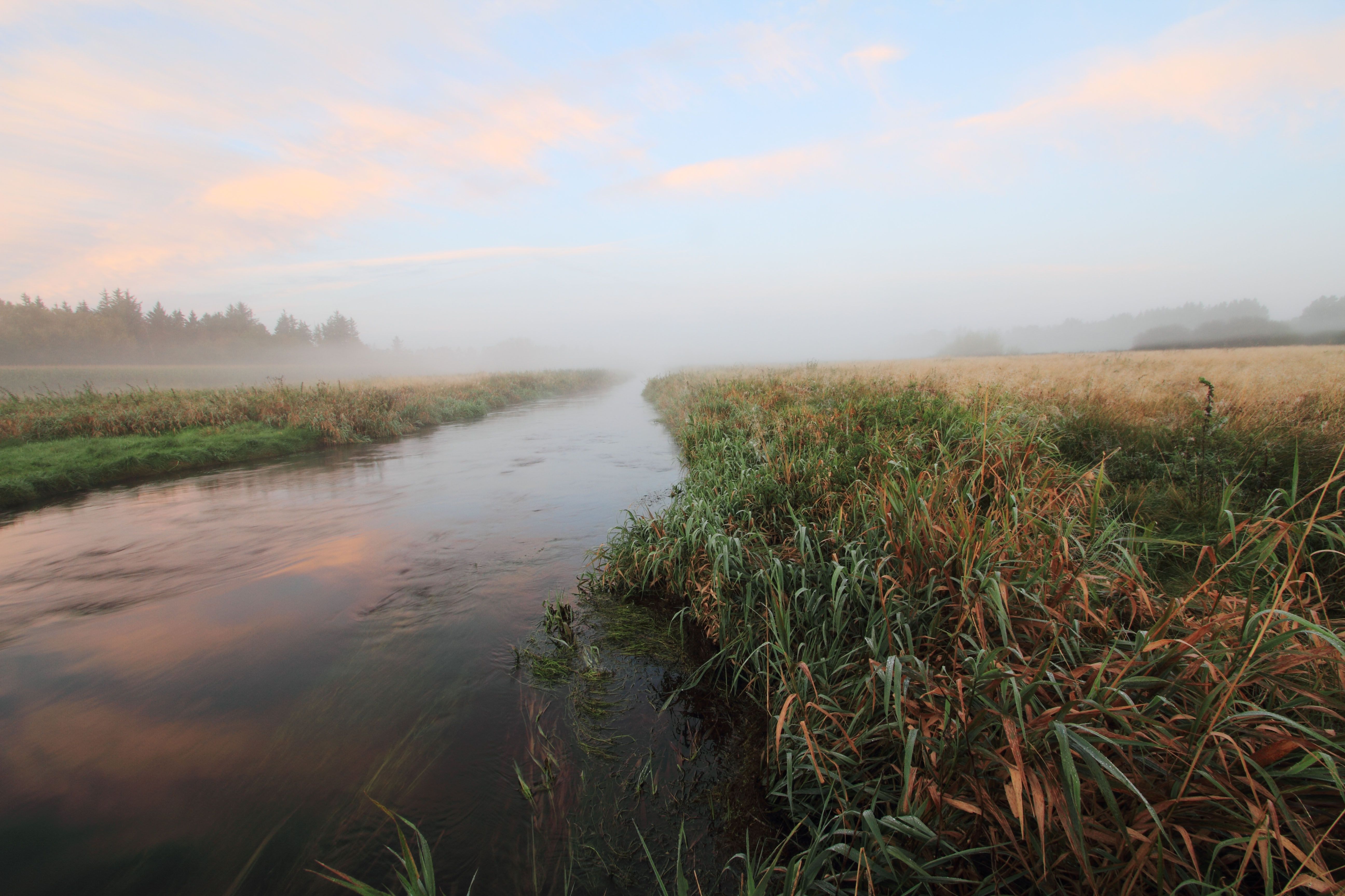 Grindsted Hotels 42 Cheap Grindsted Hotel Deals, Denmark