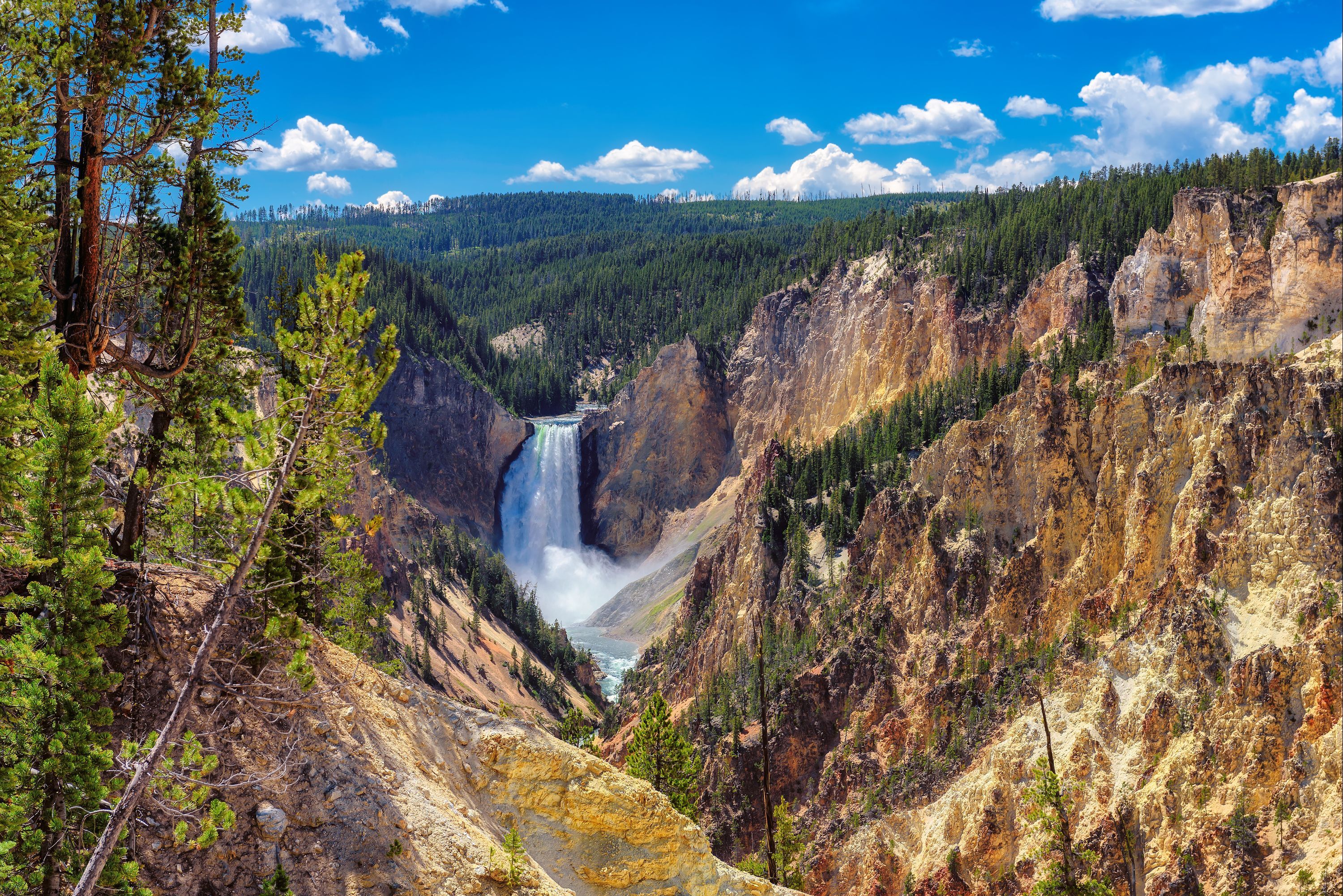 Yellowstone National Park Hotels 1,363 Cheap Yellowstone National Park Hotel Deals