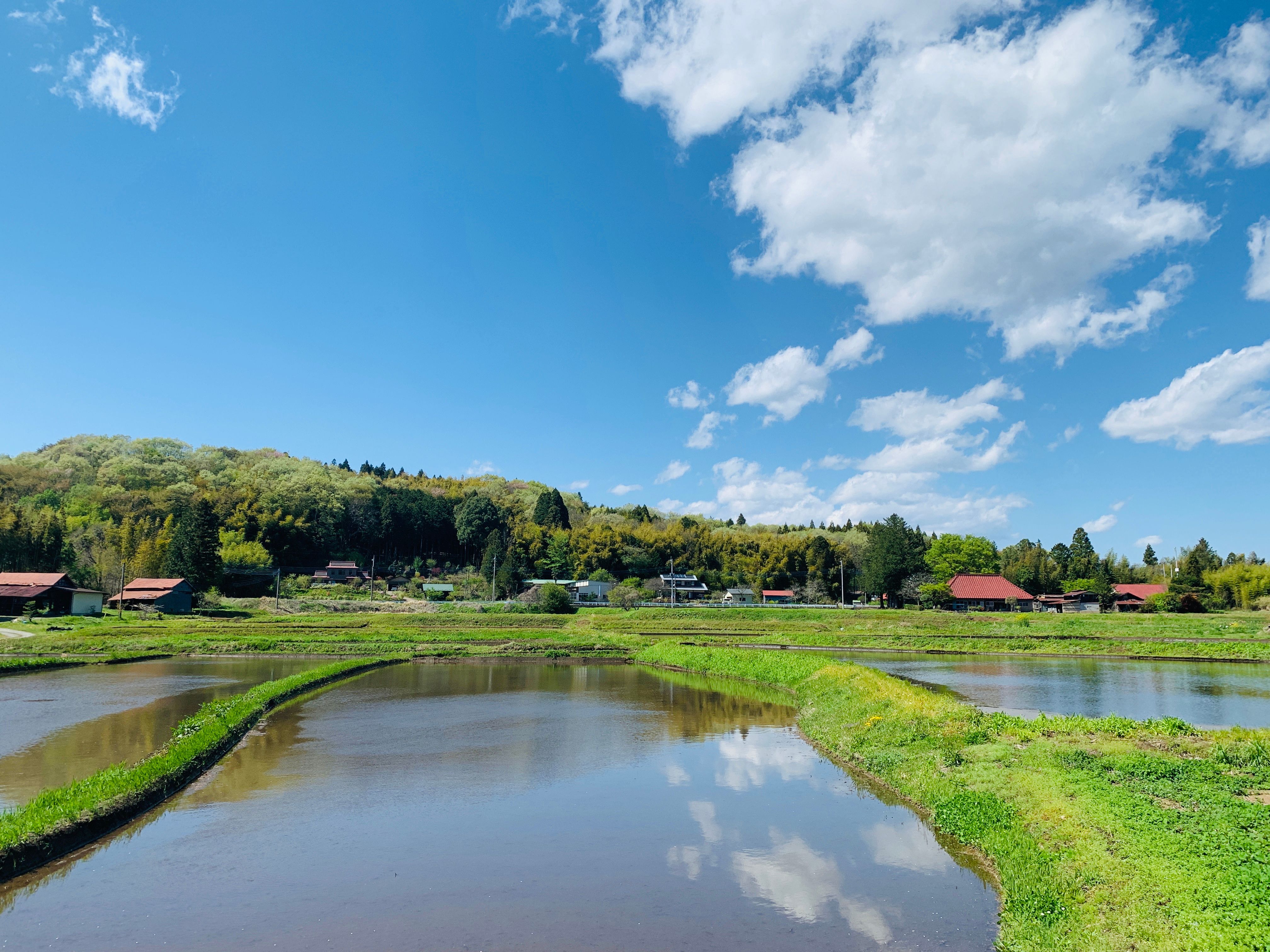 Nasu Hotels 432 Cheap Nasu Hotel Deals, Japan