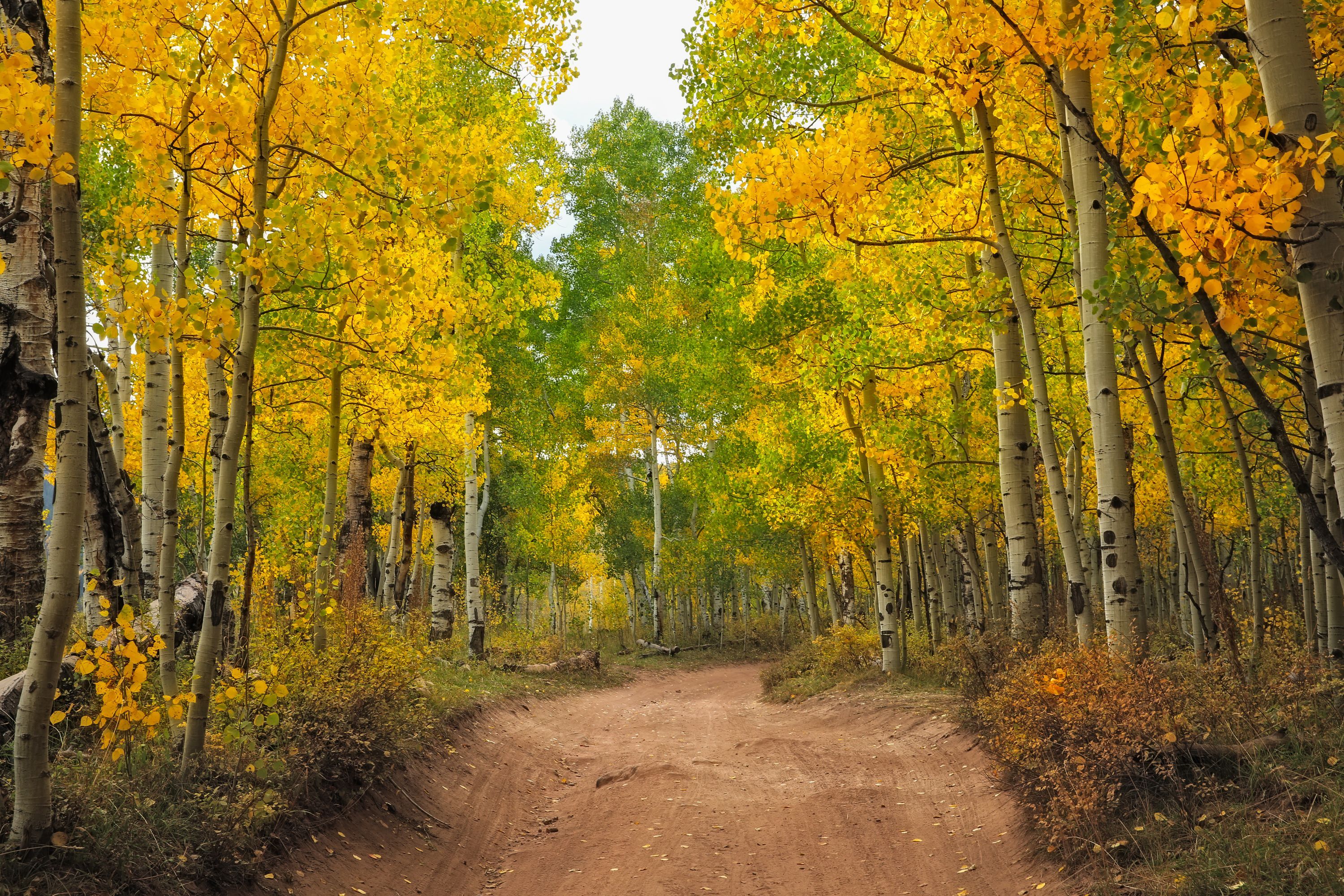 Aspen, Colorado Vacation Rentals, Apartments & Condos