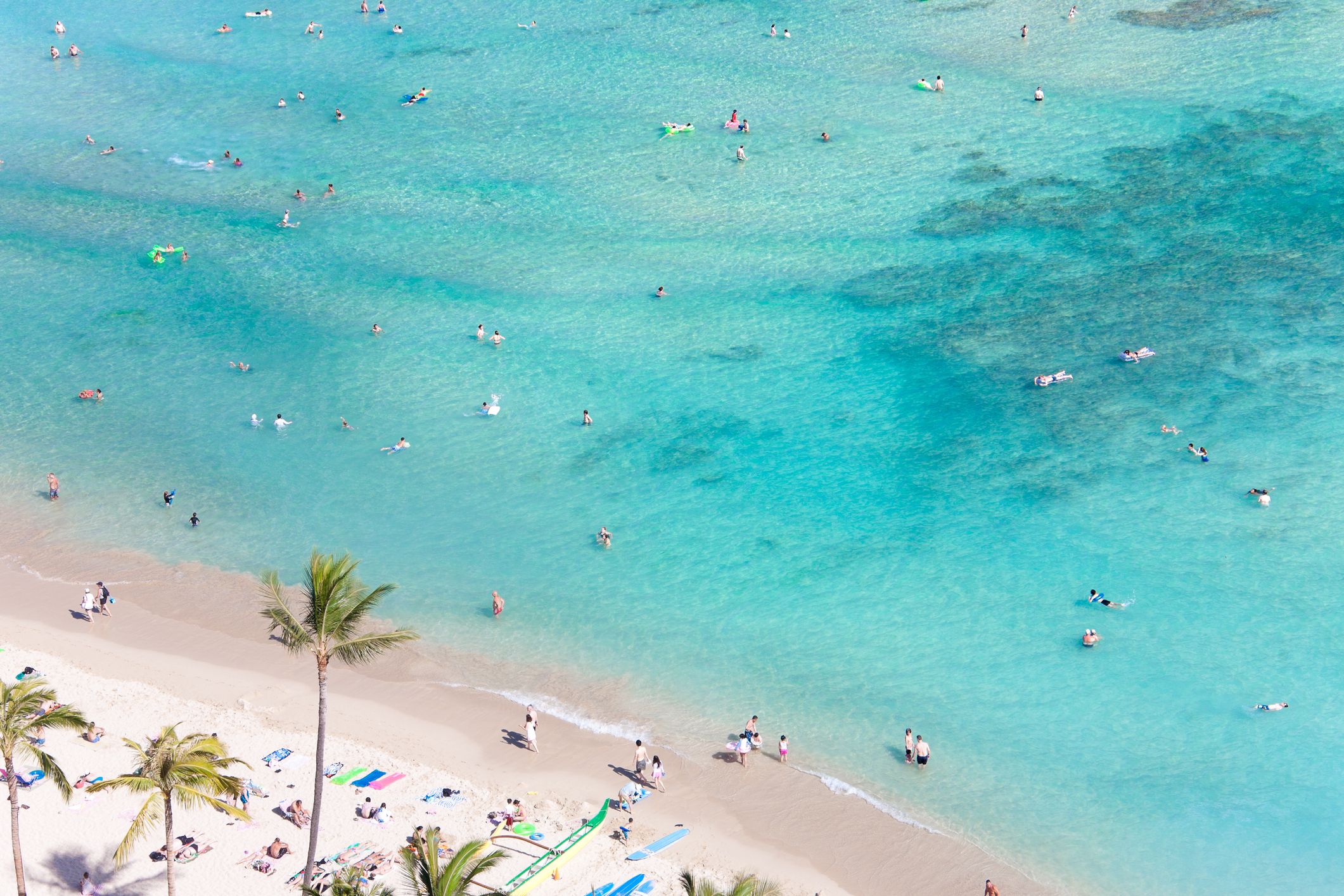 Hotels near Waikiki Beach, Honolulu Amazing Deals on 3,917 Hotels
