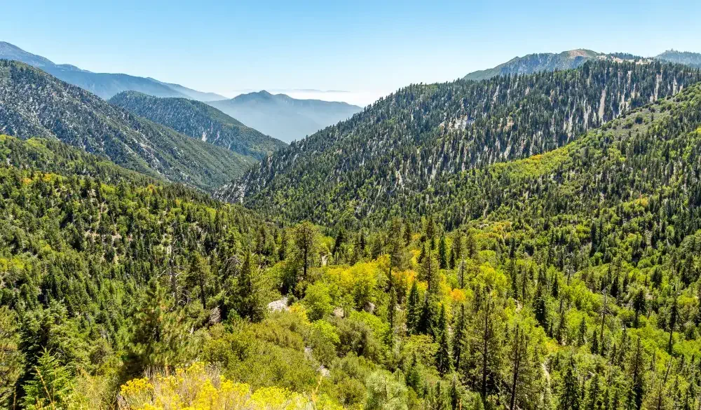 The view down Big Bear Creek Valley in the San Bernardino National Forest from Butler Peak