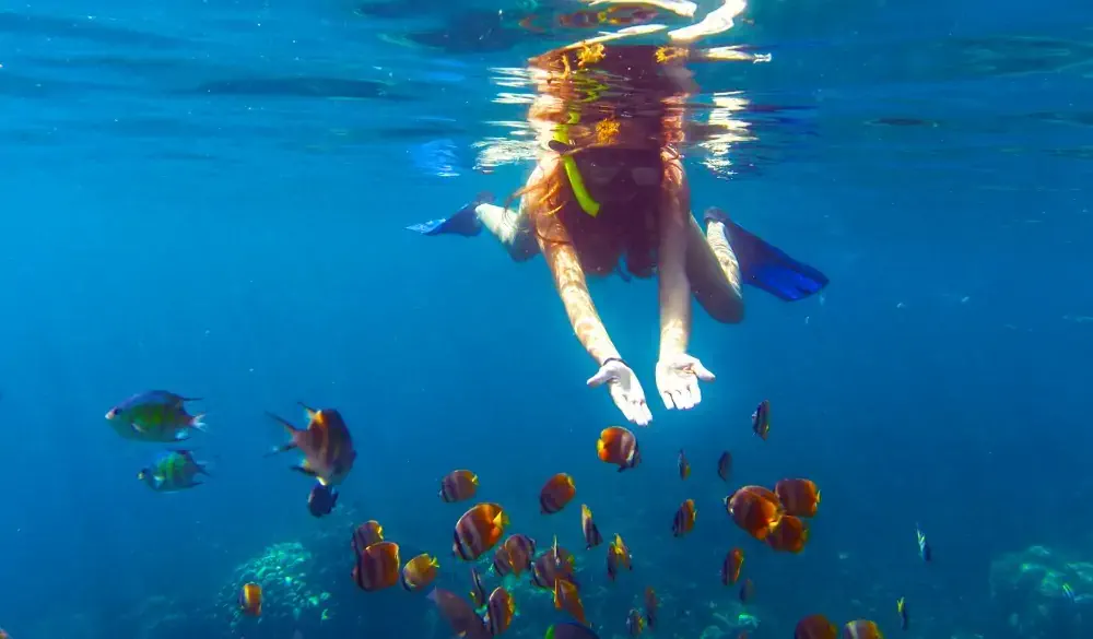 Snorkeling in Amed village.Bali.Indonesia.
released