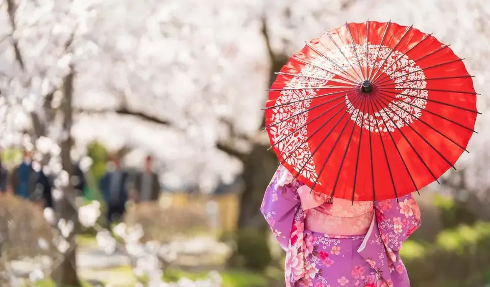 KYOTO, JAPAN - 2019/04/09: Young girls, dressed in Kimono with red umbrella standing with cherry blossom background.