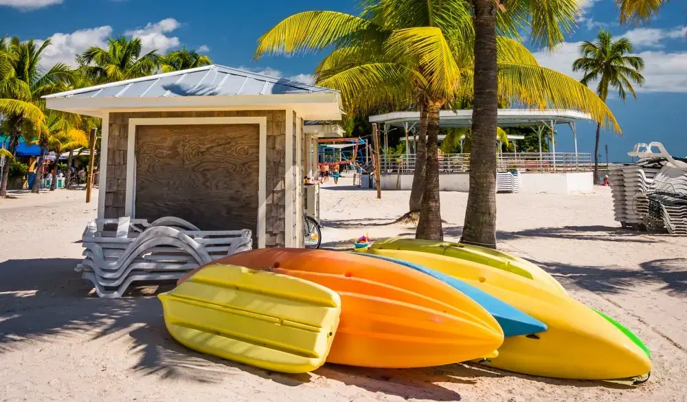Palm trees on the beach in Key West, Florida.; Shutterstock ID 231696460