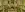 preload