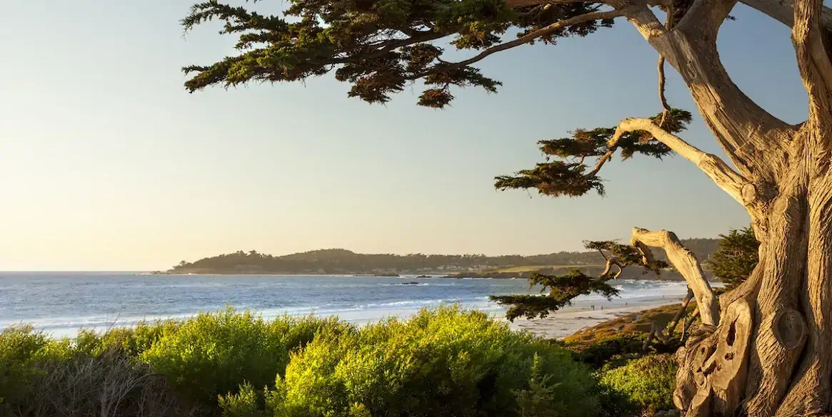 Carmel