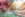 preload
