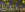 preload