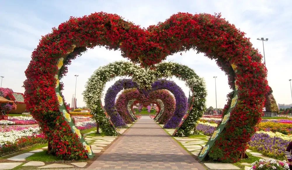 Miracle Garden, Dubai miracle garden is famous for heart shape installation. They collect flower all across world and make innovation out of the flower.