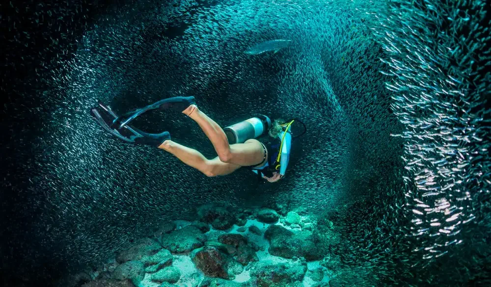 Female scuba diver swimming with the school of fishes.