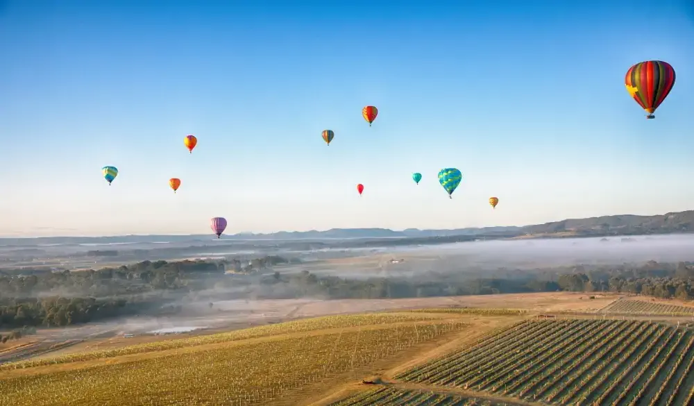 Hunter Valley on a fog lit morning.