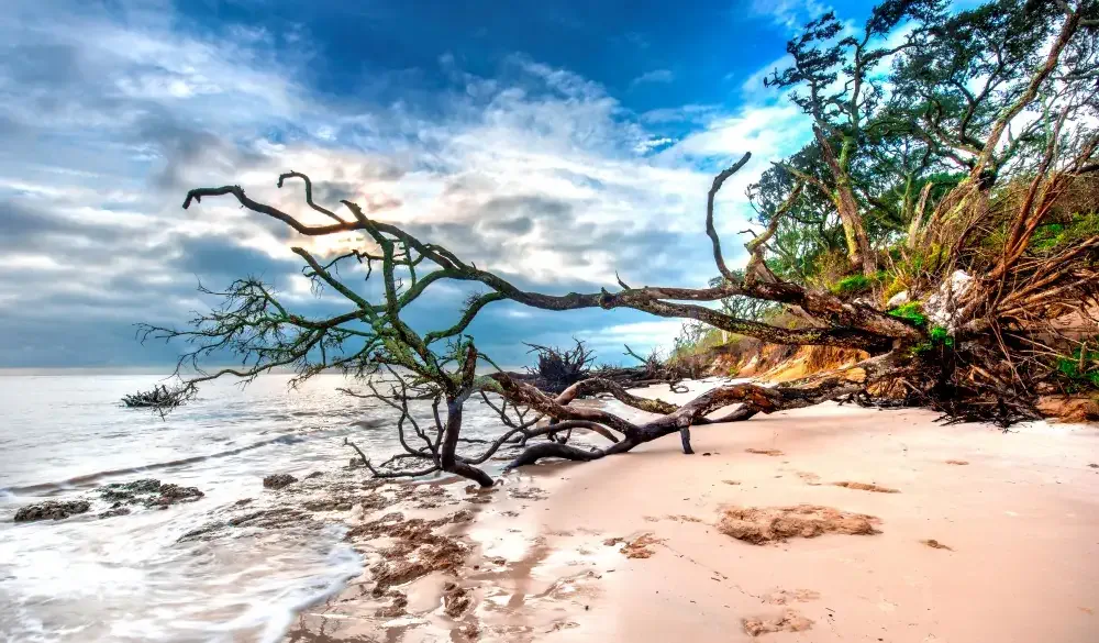 The Beach at Big Talbot Island, Florida