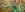 preload