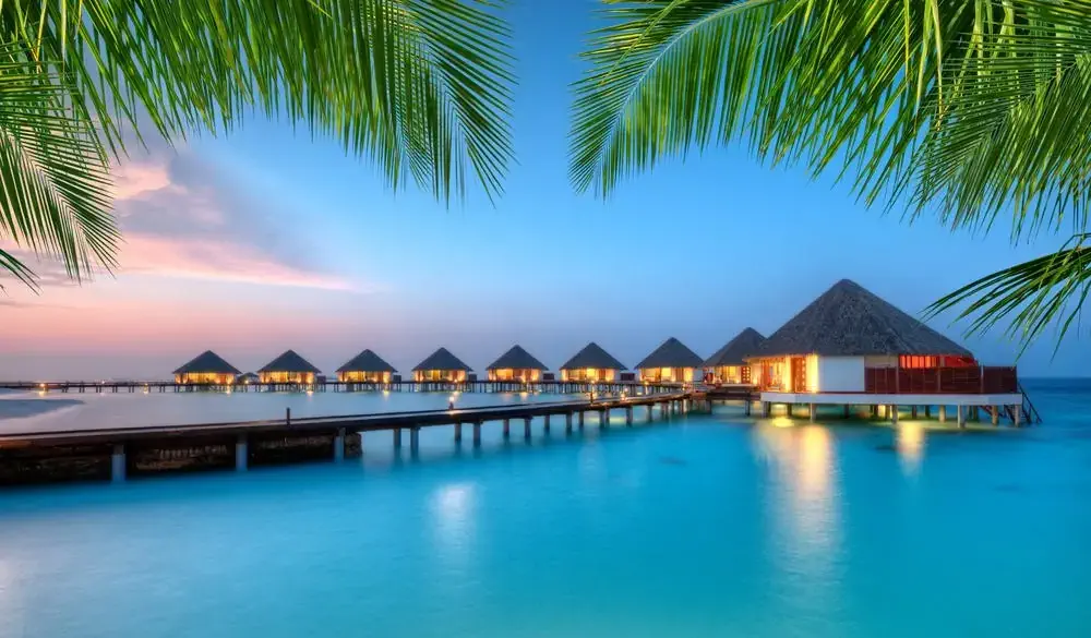 Water villas in lagoon, Maldives resort island in sunset. Detail of palm leaves on foreground. Vacation and beach relaxation, summer holidays background; Shutterstock ID 650021317