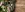 preload