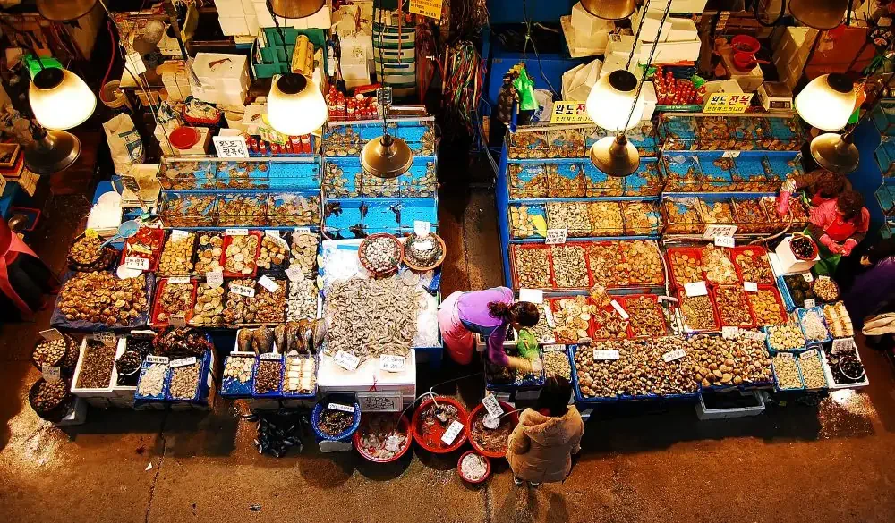 This is the Noryangjin Fish Market in Seoul, South Korea. This shot was taken from a walkway above the main market area to show how much variety of seafood was for sale in such crammed quarters.