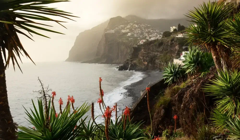 View of Cabo Girao from Camara de Lobos