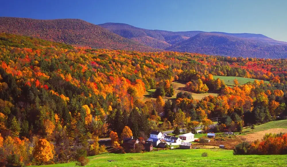 Autumn foliage in the Bershire Hills region of Massachusetts. Photo taken from a scenic viewpoint of the Mount Greylock Range during the peak fall foliage season. The Berkshires region enjoys a vibrant tourism industry based on music, arts, and recreation.