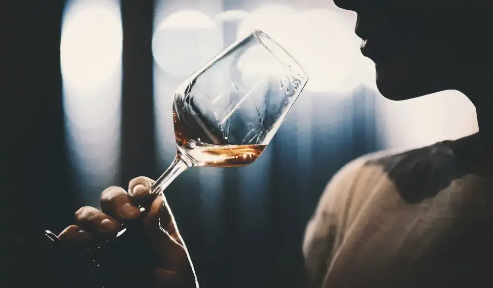 Wine tasting in wine cellar.
