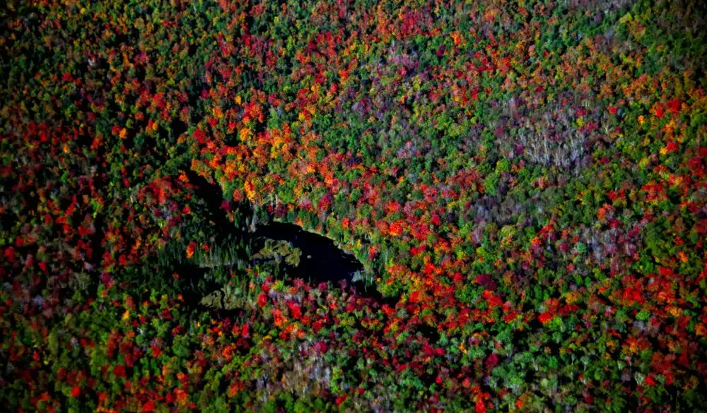 Green Mountain Beaverdam