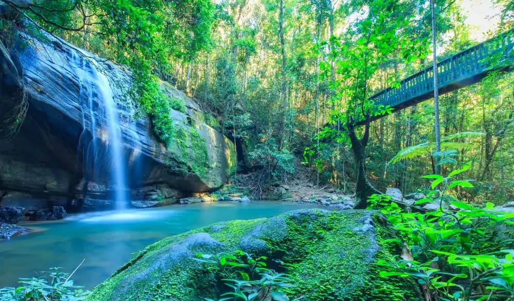Tranquil Waterfall on the Sunshine Coast, Australia, romantic destinations in Australia