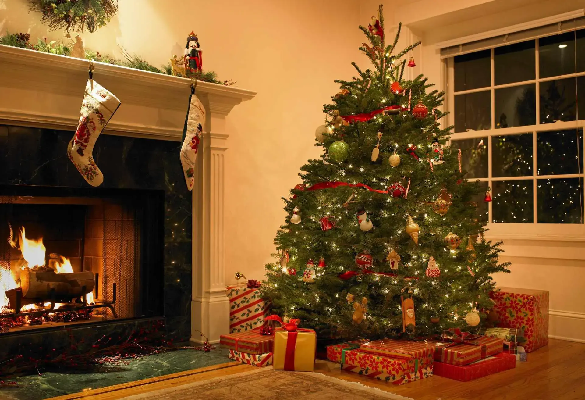 Christmas tree in living room