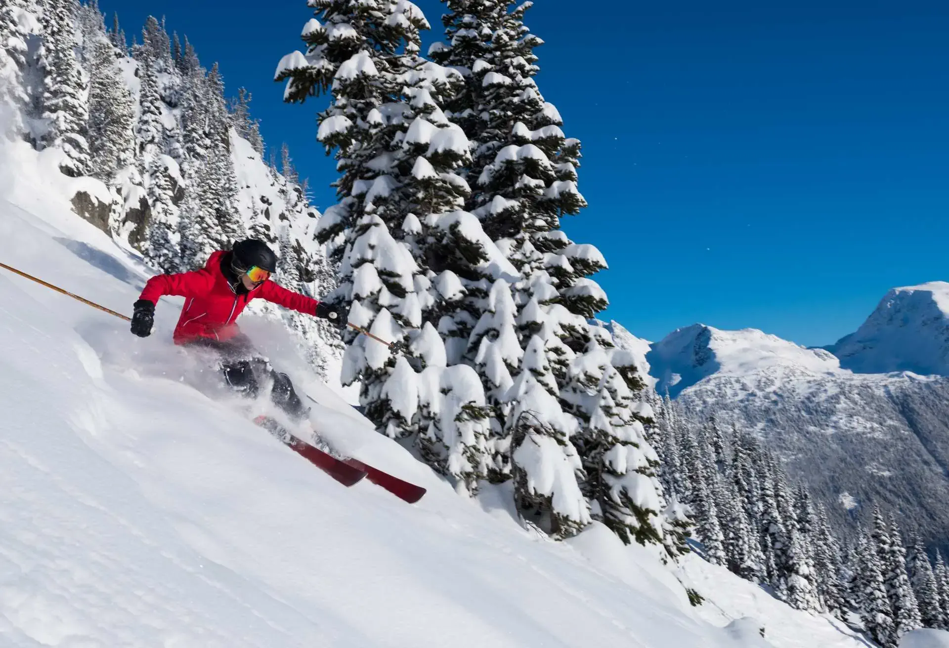 Female tree skiing fresh powder