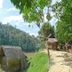 Outdoors view