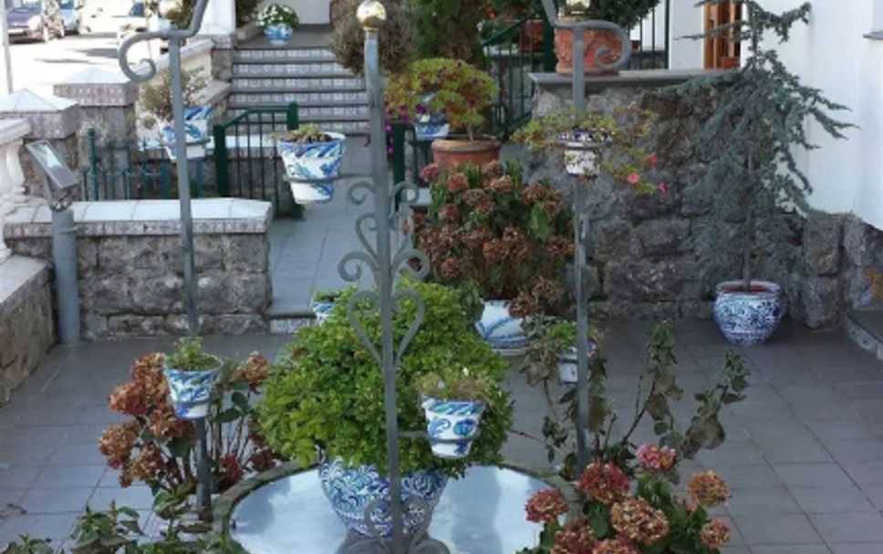 Other Photo