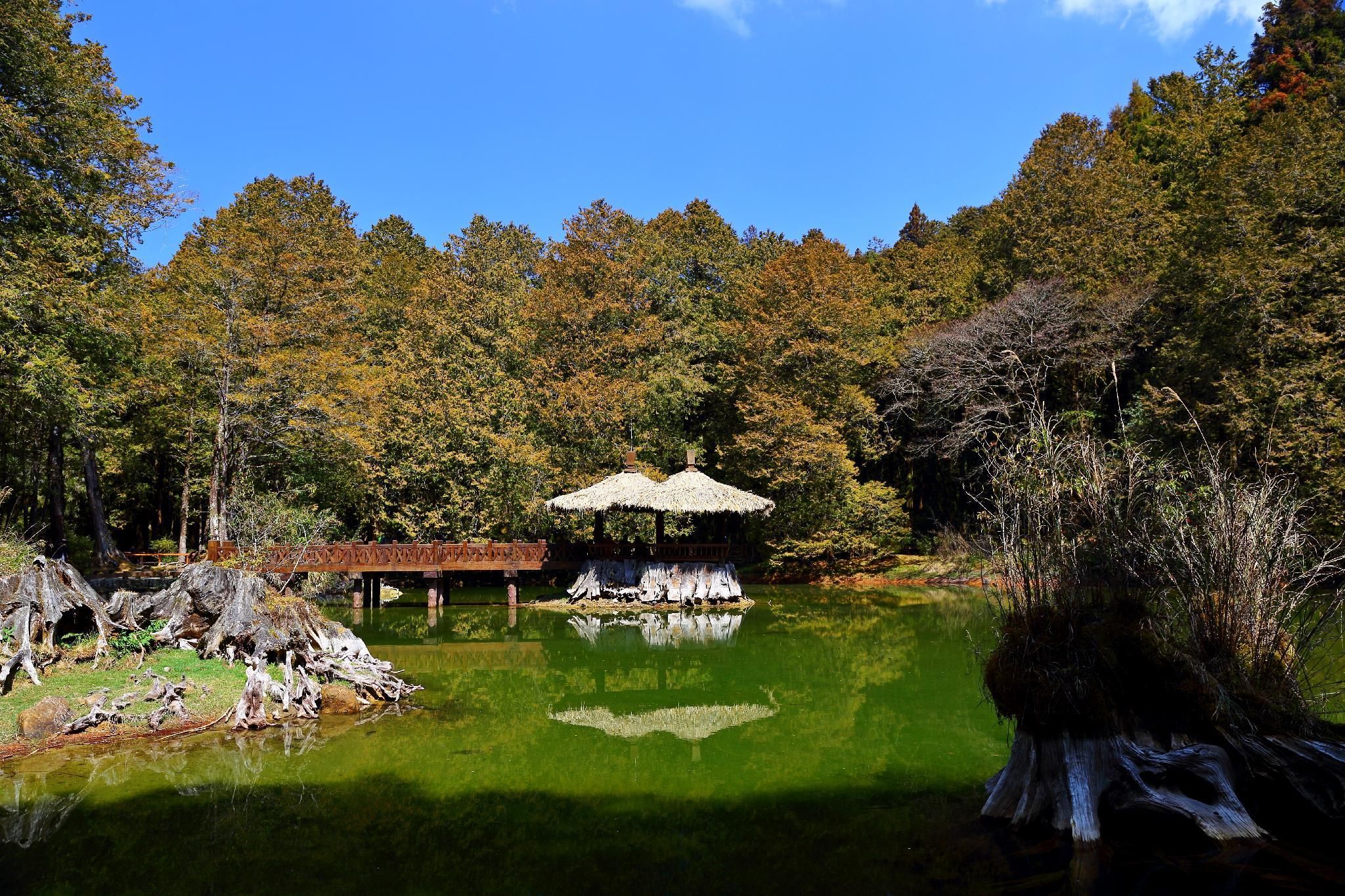 Outdoors view