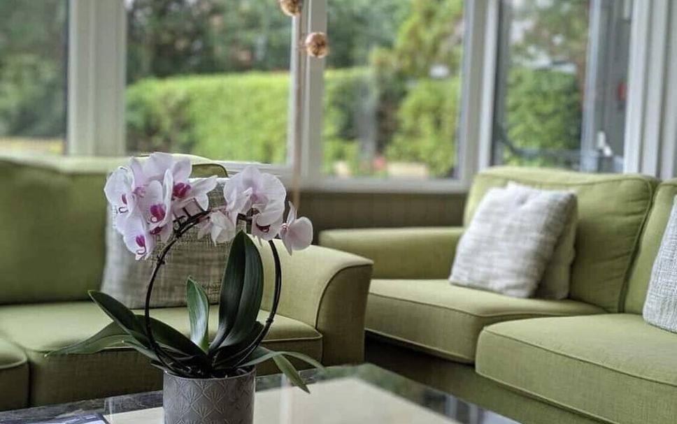 Living room Photo